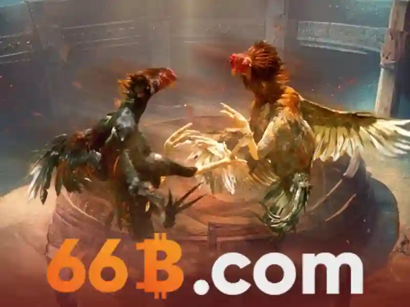 66b trong văn hóa và công nghệ