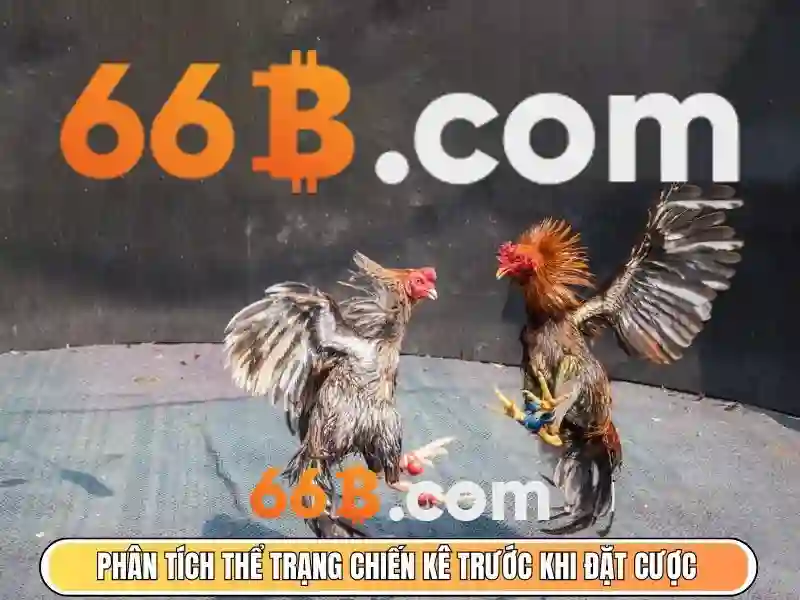 66B là một mô hình ngôn ngữ lớn