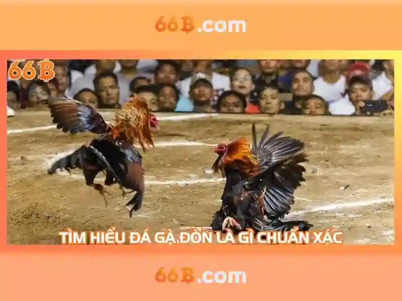 Cấu trúc và cách hoạt động