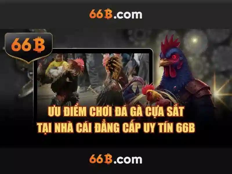 Ứng dụng của 66b trong công nghệ và văn hóa