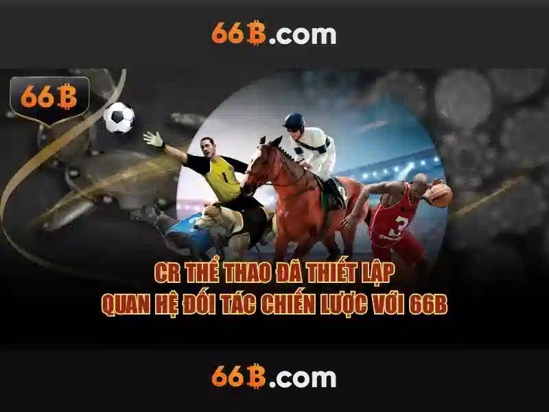 Giới thiệu về 66B