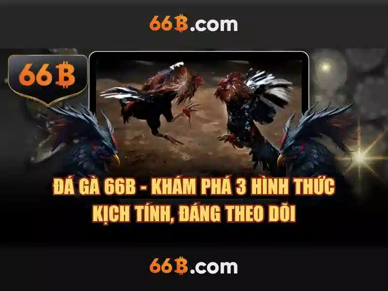 Đạo đức và an toàn khi dùng 66B