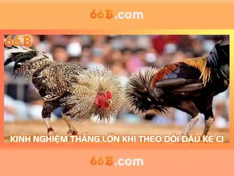 he thong ma hoa du lieu an toan tai 66b