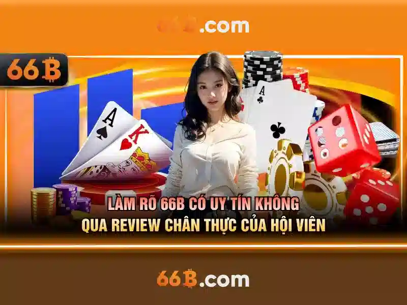 Cấu trúc và quy trình hoạt động của 66B