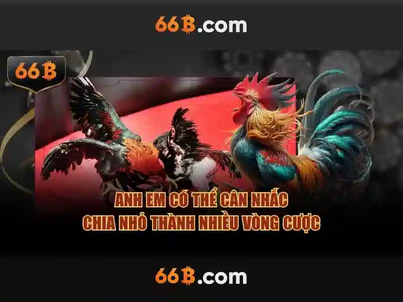 Hiệu suất và tối ưu hóa cho ứng dụng thực tế