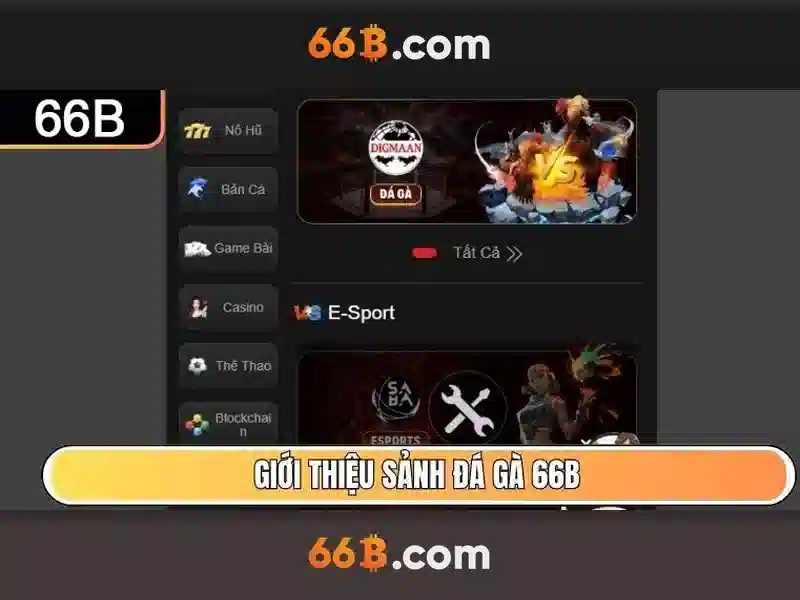 Giới thiệu về 66b
