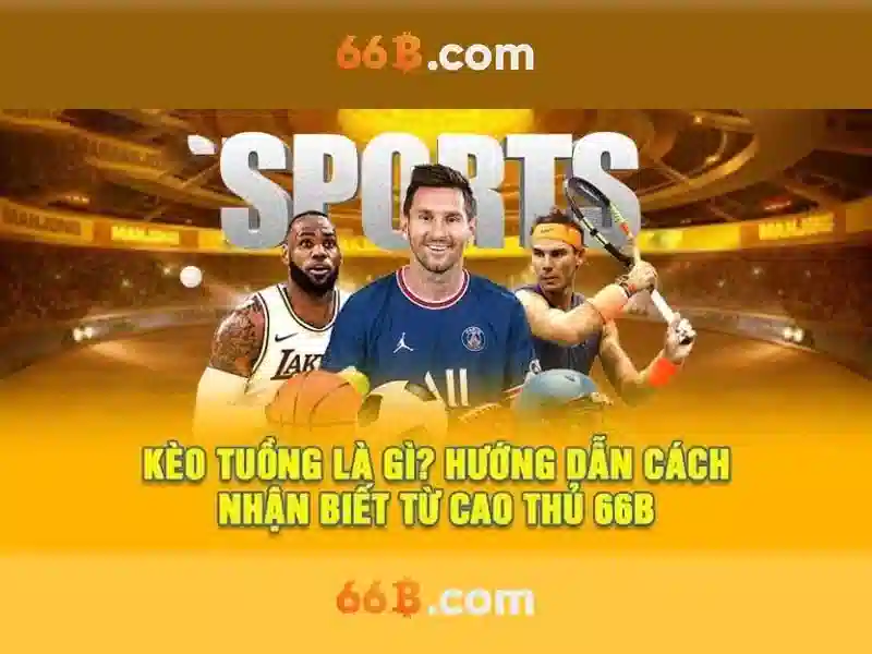 66b là gì?