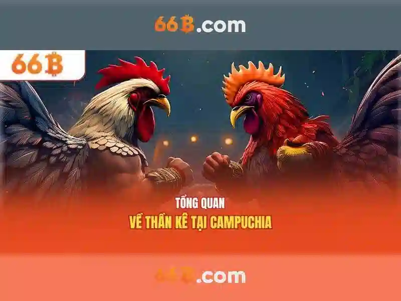 Tuân thủ PAGCOR 2026