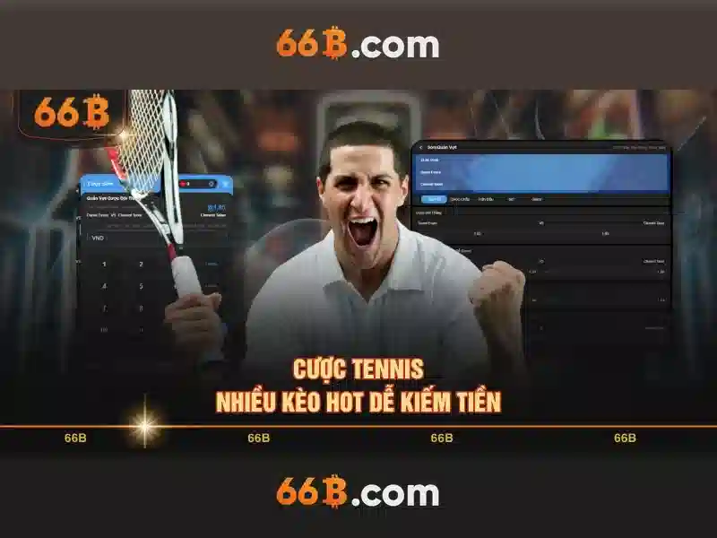 Đặc điểm cơ bản của 66b