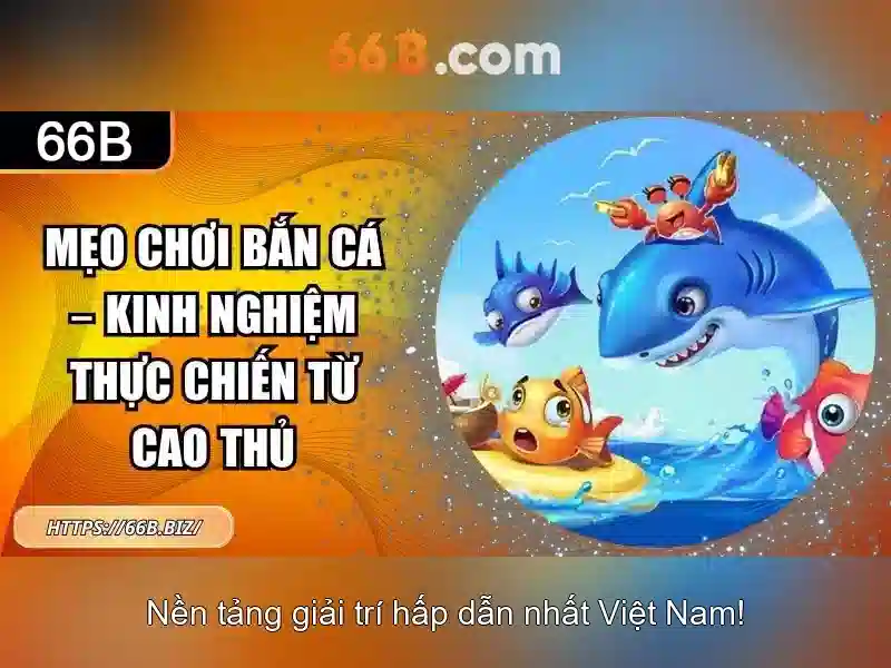 Giới thiệu về kích thước 66B