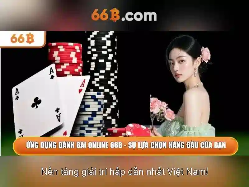 66b: một khái niệm và hành trình