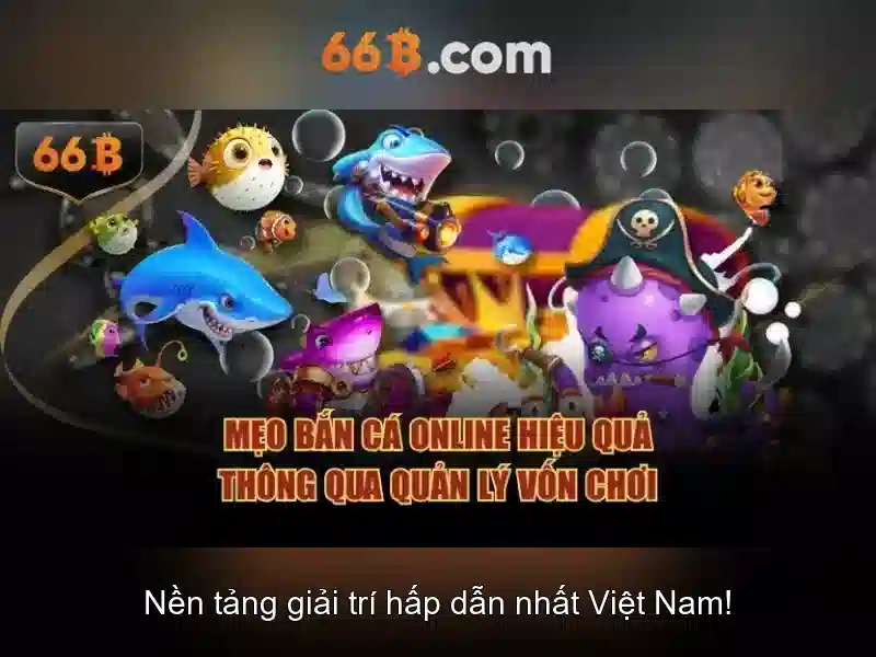 Quy mô và kiến trúc