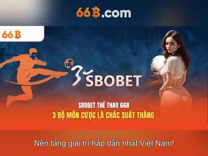 66B: Tổng quan về một mô hình tiên tiến