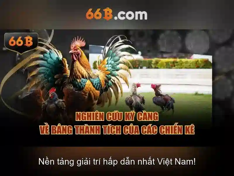 66B: Khái niệm, cơ cấu và ứng dụng
