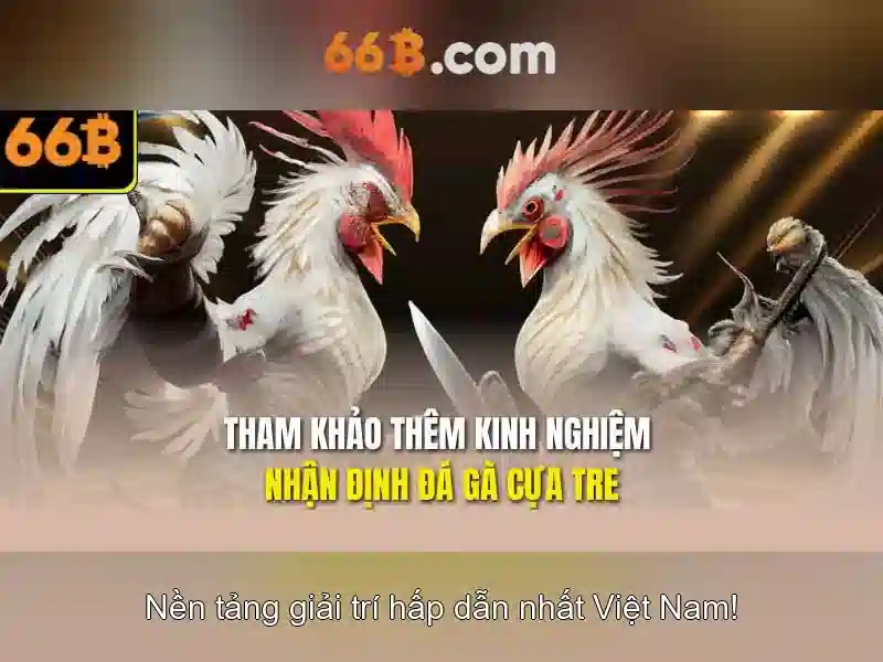 66B: Hiểu về mô hình ngôn ngữ có 66 tỷ tham số