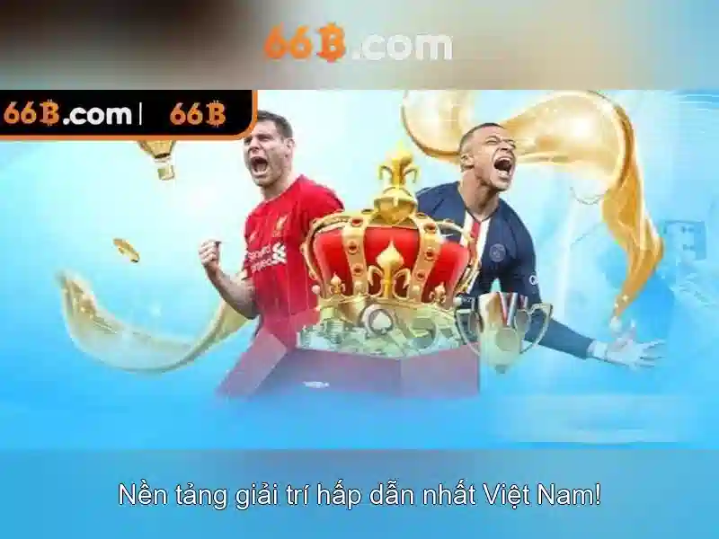 66B trong công nghệ và dữ liệu