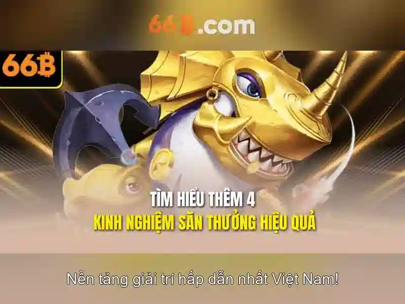 66b: một khái niệm và hành trình khám phá