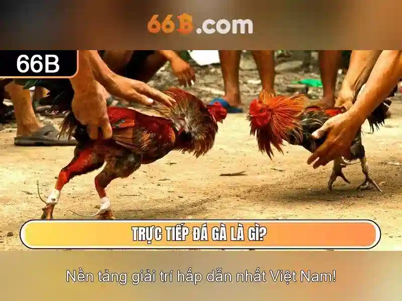 66b: Khám phá ý nghĩa và ứng dụng của ký hiệu đặc biệt