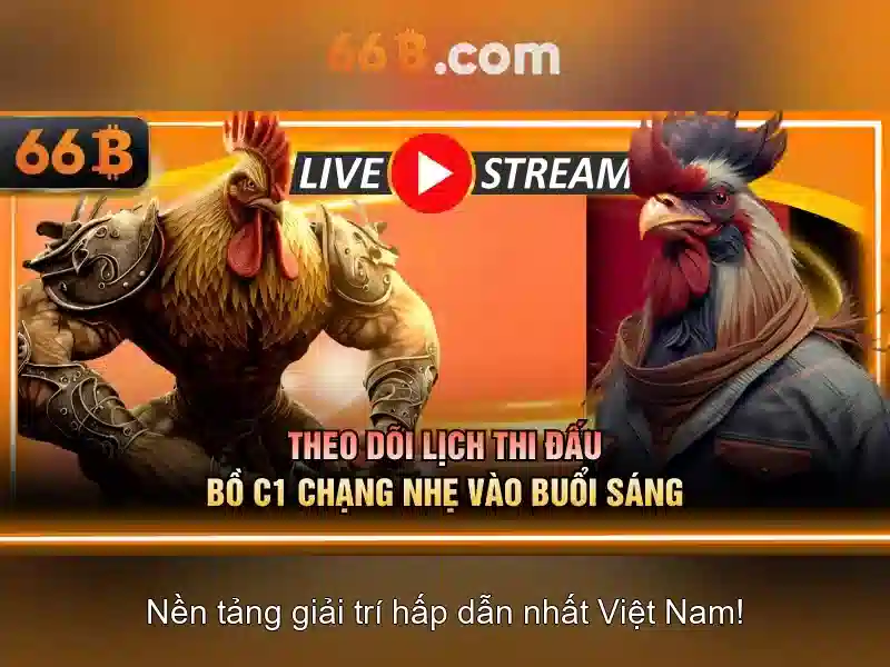 Kiến trúc và tham số