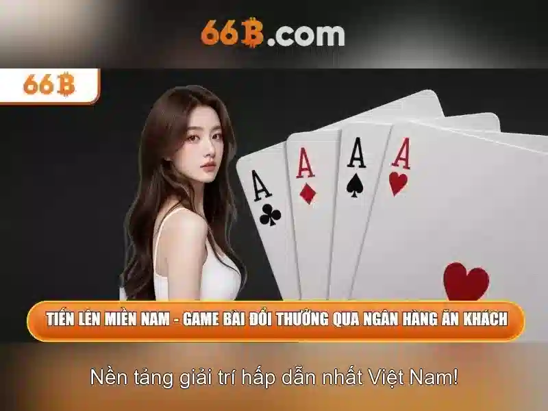 Kiến trúc và cách hoạt động của 66B