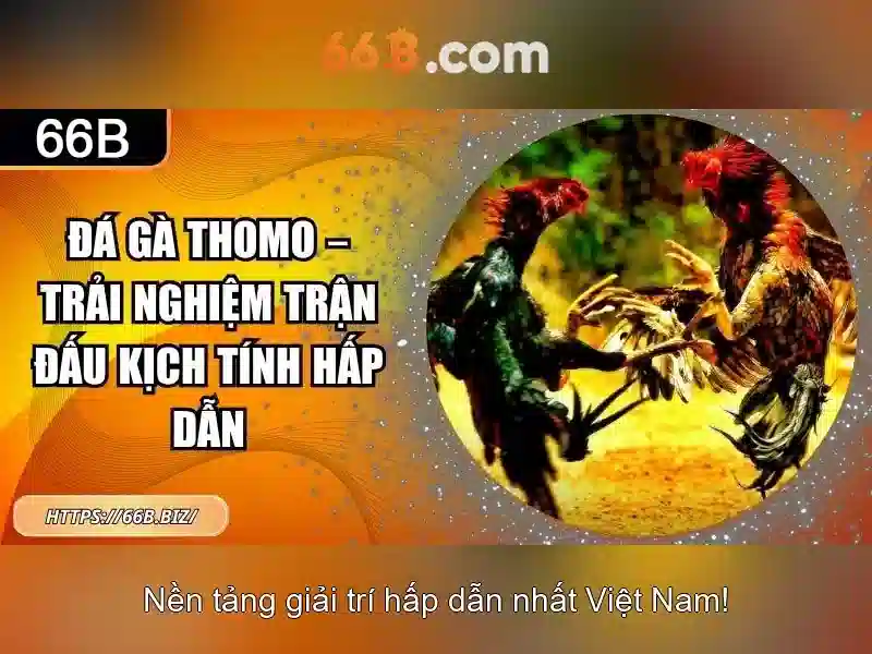 66b: Mô hình ngôn ngữ lớn và vai trò của nó