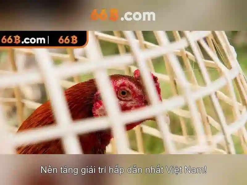 Hướng dẫn nhận diện tên miền và gia cố tài khoản