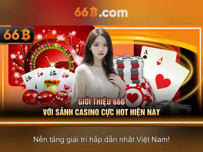 66B là gì?