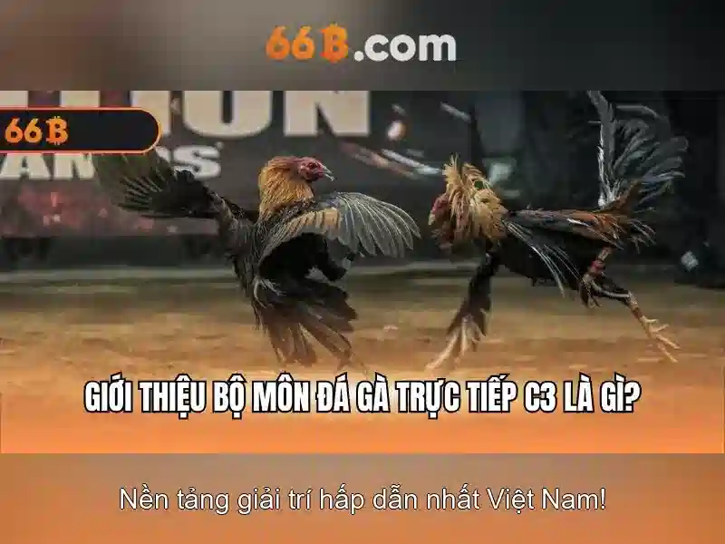 Thách thức và tương lai của 66b