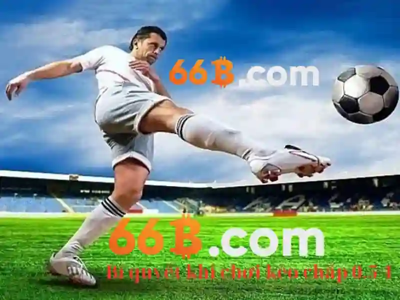 66b: một khái niệm và nhìn nhận trong thế giới số