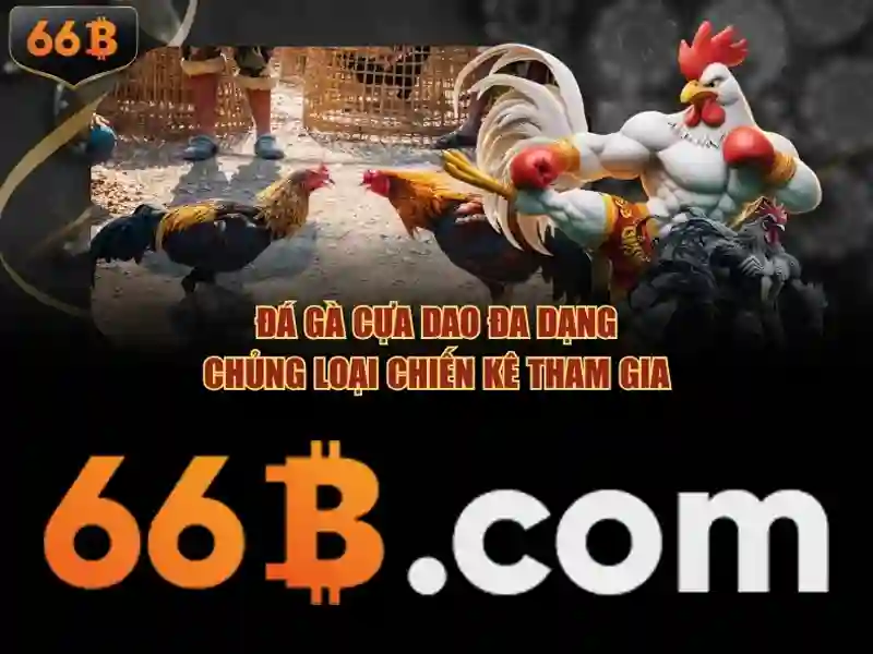 tong quan ve chinh sach bao mat tai nha cai 66b