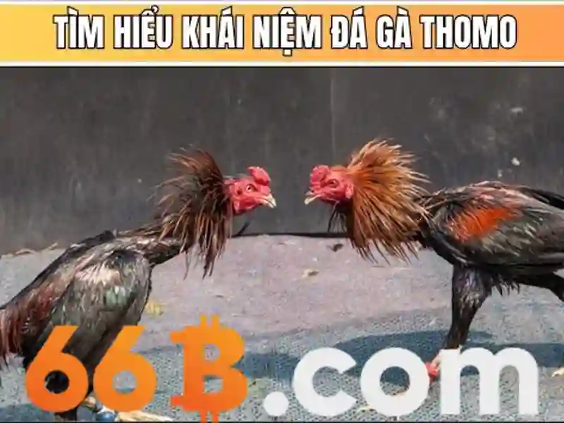 Hiệu suất và thẩm định