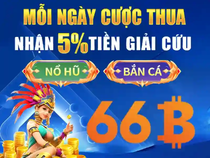 Giới thiệu về 66B