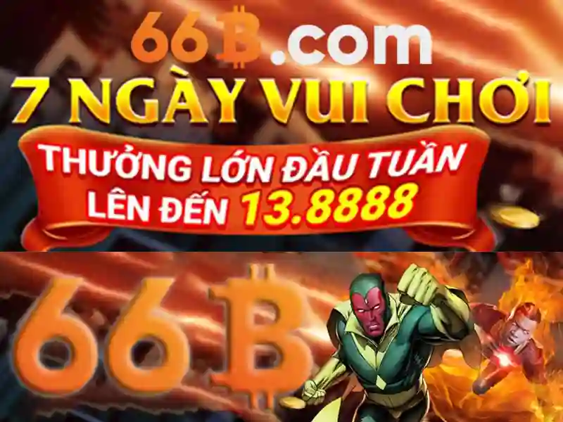 66B là gì và vai trò của nó